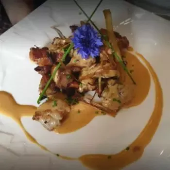 poulet sauce morilles